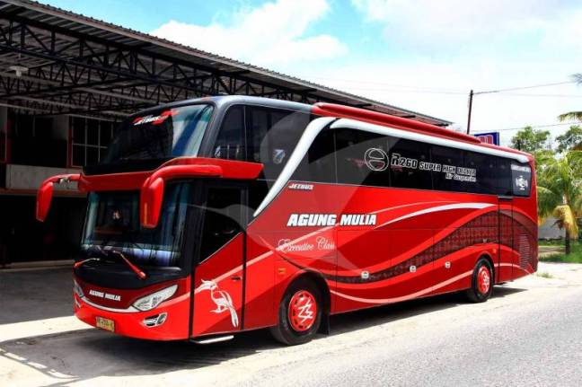 Ilustrasi Bus Wisata, sumber : Amazing Borneo Indonesia