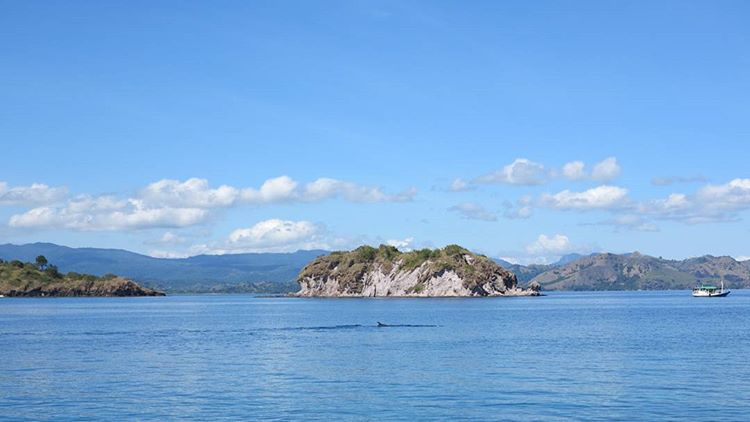 Bidadari Labuan Bajo