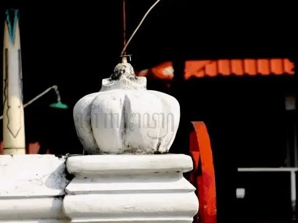 Cepuri pada Masjid Gedhe Kauman, sumber ; google.com